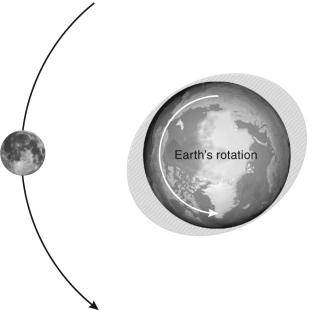The figure below shows the tidal bulge of Earth generated by the Moon.What will happen in the future as a result of this configuration?   A)  Earth's tides will increase in amplitude. B)  Earth's days will become longer. C)  Earth's rotation axis will precess. D)  The Moon's orbit will slow down.
