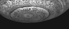 The image below shows a large storm occurring at the pole of which planet?   A)  Venus B)  Jupiter C)  Saturn D)  Neptune
