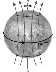 The figure below shows the configuration of magnetic field lines in the Sun at the beginning of a solar magnetic cycle.How do these field lines change as the Sun rotates?   