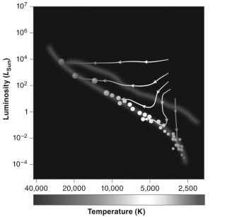 The tracks with arrows shown on the figure below illustrate what evolutionary phase of the stellar life cycle?   A)  main sequence B)  protostar C)  red giant D)  horizontal branch