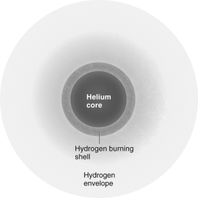 What kind of star is shown in the figure below?   A)  main sequence B)  red giant C)  horizontal branch D)  asymptotic giant branch
