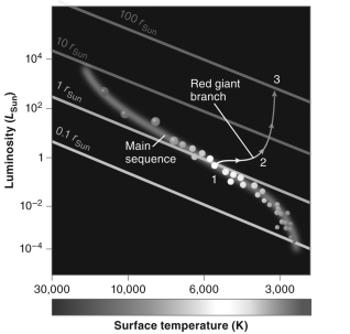 The figure below shows the trajectory of a star on the HR diagram as it moves along the red giant branch.How does its radius at point 3 compare to its radius at point 1?   A)  It is 100 times larger at point 3. B)  It is 10 times larger at point 3. C)  It is 2 times larger at point 3. D)  It is 10 times smaller at point 3.