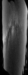 An observer far from any city lights might see the feature shown in the figure below at night.What generates the diffuse light seen here?   