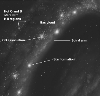 The figure below shows a spiral arm inside a galaxy.Relative to the spiral arm,in which direction (if any)are the gas and stars inside the galaxy moving?   