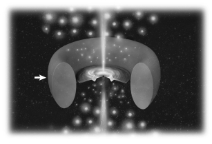 The figure below shows a schematic diagram of an active galactic nucleus (AGN) .How might an observer lying along the direction indicated by the arrow describe this AGN?   A)  blazar B)  radio-loud galaxy C)  radio-quiet galaxy D)  quasar