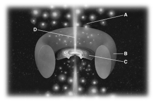 The figure below shows a schematic diagram of an active galactic nucleus.Which region is responsible for broad emission lines?   A)  A B)  B C)  C D)  D