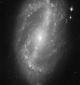 What type of galaxy is shown in the image below?   