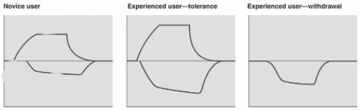   Tolerance develops for the use of some drugs because A)  over time,the blood-brain barrier more effectively blocks the movement of the drug from the blood supply into the brain. B)  more of the drug is absorbed by the body's fat stores,leading to the need to use more to get the same effects. C)  the body's compensation for the drug cancels out its effects. D)  the experienced user's expectations cancel out the drug's effects.