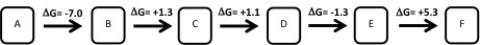 <strong>Figure 3.2 Which of the following answers best describes the above metabolic pathway?</strong> A)Anabolic;endergonic B)Catabolic;endergonic C)Anabolic;exergonic D)Catabolic;exergonic