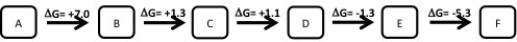 <strong>Which of the following metabolic pathways is Anabolic</strong> A) B) C) D)