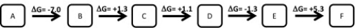<strong>Which of the following metabolic pathways is Anabolic</strong> A) B) C) D)