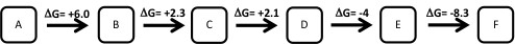 <strong>Which of the following metabolic pathways is Anabolic</strong> A) B) C) D)