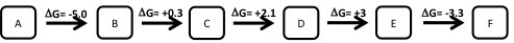 <strong>Which of the following metabolic pathways is Anabolic</strong> A) B) C) D)