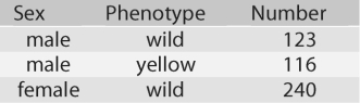 Figure 13.1   -In a Drosophila experiment,a cross was made between homozygous wild-type females and yellow-bodied males.All of the resulting F₁s were phenotypically wild type.However,adult flies of the F₂ generation (resulting from matings of the F₁s) had the characteristics shown in the figure above: (a) Is the mutant allele for yellow body recessive or dominant? (b) Is the yellow locus autosomal (not X-linked) or X-linked? A) (a) recessive;(b) X-linked B) (a) recessive;(b) not X-linked C) (a) dominant;(b) X-linked D) (a) dominant;(b) not X-linked E) none of the above