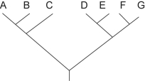 Figure 27.1   -Which of the following trees depicts the same relationship among species as shown above? A)    B)    C)    D) None;the above trees all depict a different relationship among species.