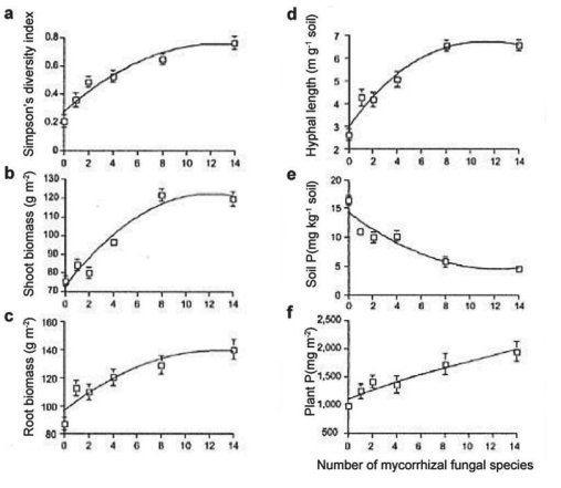 The researchers then wanted to know if plant biodiversity and productivity would increase in a natural system as a result of increasing AMF diversity beyond just four species. Consider Figure 31.6 below (Figure 2 from van der Heijden et al. 1998):     Figure 31.6 -Plant biomass (growth)in Figure 31.6 increases as fungal diversity increases.True or false?