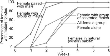 Figure 51.2   -Which of the following conclusions is most logical based on the data above? A) Females produce more eggs more quickly when exposed to breeding males. B) Females produce eggs more quickly when exposed to many males. C) All non-isolated females do just as well as isolated females. D) All of the above answers apply.