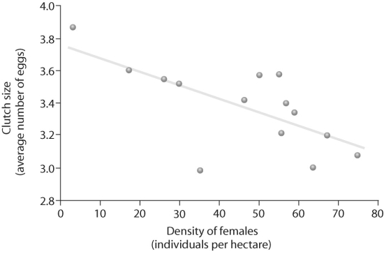 Figure 52.6   -Based on the figure above,which of the following statements correctly interprets the data? A) Female density is affected by clutch size. B) Clutch size is affected by female density. C) Survivorship is affected by female density.