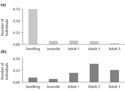 Figure 52.10   -Which of the following statements about the graphs in the figure above is FALSE? A) Primrose populations in large gaps (high light) have many juveniles. B) Primrose populations in small gaps (low light) have few juveniles. C) Primrose populations change in structure over time. D) The age structure of primrose determines the gap size. E) All of the above statements are true.