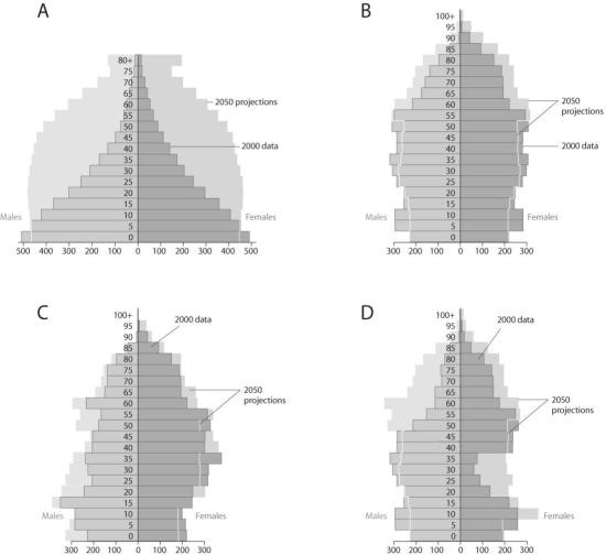 Figure 52.11   -Based on the diagrams in the figure above and on the large population of baby boomers in Canada,what graph best reflects Canadian population in 20 years? A) A B) B C) C D) D