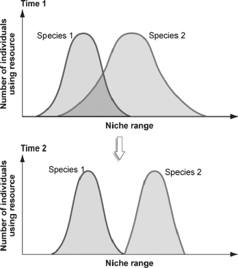 Figure 53.2   -What is the term used to describe the process shown in the panels in the figure above? A) competition B) species interaction C) niche differentiation D) niche realization