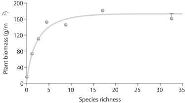 Figure 55.3   -Upon looking at Figure 55.3 regarding Tilman's experiments,what can you conclude about the data? A) As species richness changes,plant biomass remains consistent. B) As species richness increases,plant biomass increases. C) As species richness increases,plant biomass increases and then levels off. D) As species richness decreases,plant biomass increases.