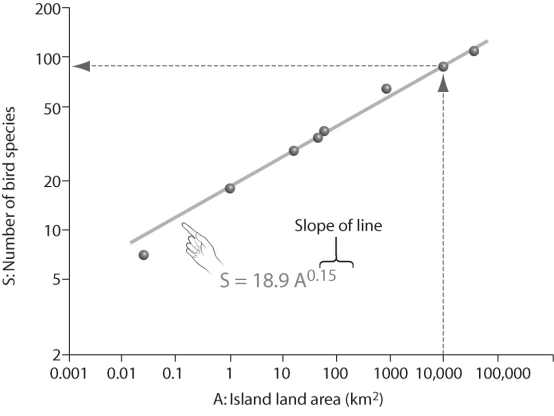 Figure 55.7   -In looking at the species-area plot in the figure above,what can be concluded? A) Number of bird species increases linearly with island area. B) Number of bird species is different on various islands. C) Diversity is independent from island area. D) Number of bird species increases exponentially with island area.