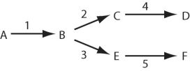 Figure 15.2    -Refer to Figure 15.2.A branched metabolic pathway synthesizes two related amino acids (D and F) .If there is a genetic defect,resulting in a nonfunctional enzyme (3) ,how could you ensure that adequate amounts of the amino acid F are synthesized? A) Supplement intermediate B. B) Supplement intermediate C. C) Add enzyme 2 to the medium. D) Supplement with intermediate E. 