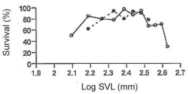 Figure 25.2 Use the following information when answering the corresponding question(s)  Martin Wikelski and L.Michael Romero (Body size,performance and fitness in Galápagos marine iguanas,Integrative and Comparative Biology 43 [2003]:376-86) measured the snout-to-vent (anus) length of Galápagos marine iguanas and observed the percent survival of different-sized animals,all of the same age.Figure 25.2 shows the log snout-vent length (SVL,a measure of overall body size) plotted against the percent survival of these different size classes for males and females.    -Examine Figure 25.2.What type of selection for body size appears to be occurring in these marine iguanas? A) directional selection B) stabilizing selection C) disruptive selection D) You cannot determine the type of selection from the above information.
