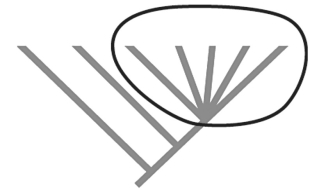 Figure 27.9    -All of the following events can trigger an adaptive radiation except _____. A) a vicariance event splitting the habitat B) the evolution of a new morphological feature C) the colonization of a new habitat D) the extinction of competitors E) gene duplication events