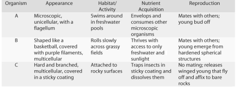 Figure 32.1    -From the information provided in the figure above,how would you classify the feeding strategy of organism C? A) suspension feeding B) predation C) parasitism D) suspension feeding and predation E) predation and parasitism
