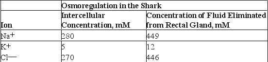 Table 42.1    -The intercellular concentration of three electrolytes is compared with the concentration of these electrolytes in fluid eliminated from the shark rectal gland in Table 42.1.Based on the data,which of the following is a likely function of the rectal gland? A) The rectal gland eliminates metabolic waste. B) The rectal gland is able to concentrate Na⁺,K⁺,and Cl⁻. C) The rectal gland cannot store Na⁺,K⁺,and Cl⁻. D) The rectal gland is the only site of osmoregulation in the shark.