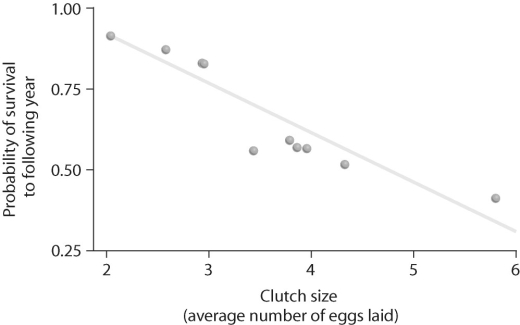 Figure 52.2   -Looking at the data in Figure 52.2,what can be said about survival and clutch size? A) Animals with low survival tend to have low clutch sizes. B) High clutch sizes tend to produce animals with low survival. C) Animals with high fecundity tend to live longer. D) Animals with high fecundity tend not to live as long as animals with low fecundity.