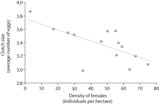 Figure 52.5   -Based on Figure 52.5,which of the following statements correctly interprets the data? A) Female density is affected by clutch size. B) Clutch size is affected by female density. C) Survivorship is affected by female density.