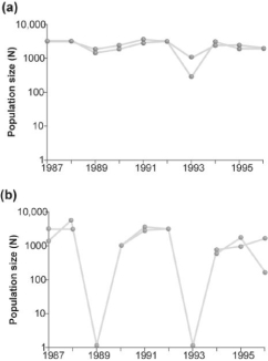 Figure 52.8   -Which of the two graphs in Figure 52.8 shows a population of organisms that has a strong population cycle? A) (a)  B) (b) 