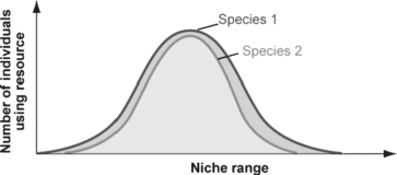 Figure 53.3   -In Figure 53.3,which species is the stronger competitor? A) species 1 B) species 2 C) Both species compete equally. D) It is not possible to tell from this figure.