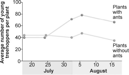 Figure 53.6   -Treehoppers (a type of insect) produce honeydew,which ants use for food.Treehoppers have a major predator,the jumping spider.Researchers hypothesized that the ants would protect the treehoppers from the spiders.In an experiment,researchers followed study plots with ants removed from the system and compared them to a control plot.In Figure 53.6,what can you conclude? A) Ants do somehow protect the treehoppers from spiders. B) Ants eat the honeydew produced by treehoppers C) Ants reduce the numbers of treehoppers. D) No specific conclusions can be drawn from this figure. E) Treehoppers do not produce honeydew in July and are not protected by the ants.