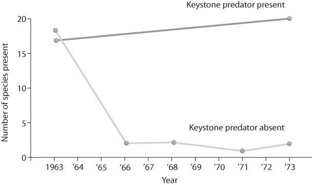 Figure 53.7   -What does the graph in Figure 53.7 tell you about the definition of a keystone species? A) A keystone species has little interaction with other species in an environment. B) Removing a keystone species from the community drastically reduces diversity. C) Adding a keystone species to the community will make it more robust. D) A keystone species added to the community can make it more robust. E) Removing a keystone species from the community will eventually allow for the invasion of a new species.
