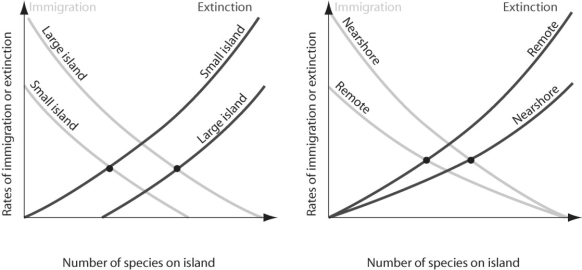 Figure 53.11   -Which of the following statements regarding Figure 53.11 is true? A) Immigration rates are higher on smaller islands. B) Extinction rates are highest on large islands close to the mainland. C) Species richness should be higher on larger islands close to mainland. D) Species diversity should be highest on larger islands away from mainland.