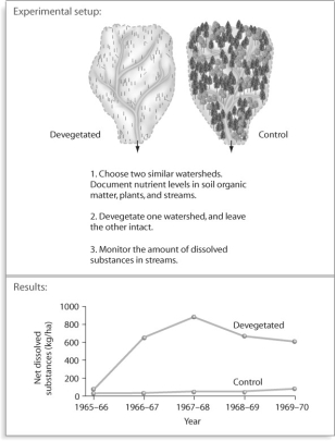 Figure 54.7   -Based on the experiment in Figure 54.7,all of the following are plausible reasons for the result except _____. A) nutrients evaporate now that vegetation is absent B) nutrients dissolve in the water running through the watershed C) nutrients are attached to small particles of sand or clay that leave the watershed D) plant roots that held soil particles in place are no longer there