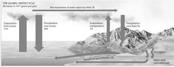 Figure 54.8   -Which of the following human activities is impacting the water cycle the least? A) increase in asphalt and concrete surfaces B) conversion of grasslands and forests into agricultural fields C) increased processing of salt water to freshwater D) increases in irrigated agriculture