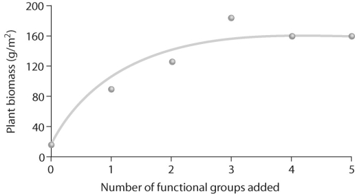Figure 55.4   -Hypothesis: Productivity increases with species richness because certain species or functional groups facilitate the growth of other species by providing them with nutrients,partial shade,or other benefits.In looking at the data in Figure 55.4,how would you relate it to this hypothesis? A) The hypothesis is supported. B) The hypothesis is partially supported. C) The hypothesis is rejected. D) The hypothesis is proven. E) The data do not relate to the hypothesis given.