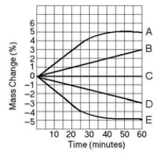 Five dialysis bags constructed of membrane, which is permeable to water and impermeable to sucrose, were filled with various concentrations of sucrose and then placed in separate beakers containing an initial concentration of 0.6 M sucrose solution. At 10-minute intervals, the bags were massed (weighed)  and the percentage change in mass of each bag was graphed.   -A patient was involved in a serious accident and lost a large quantity of blood. In an attempt to replenish body fluids, distilled water-equal to the volume of blood lost-is added to the blood directly via one of his veins. What will be the most probable result of this transfusion? A)  It will have no unfavorable effect as long as the water is free of viruses and bacteria. B)  The patient's red blood cells will shrivel up because the blood has become hypotonic compared to the cells. C)  The patient's red blood cells will swell and possibly burst because the blood has become hypotonic compared to the cells. D)  The patient's red blood cells will shrivel up because the blood has become hypertonic compared to the cells. E)  The patient's red blood cells will burst because the blood has become hypertonic compared to the cells.