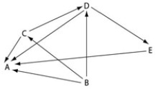 Use the following diagram of a hypothetical food web to answer the question(s)  below. The arrows represent the transfer of energy between the various trophic levels.   -Which letter represents an organism that could only be a primary consumer? A)  A B)  B C)  C D)  D E)  E