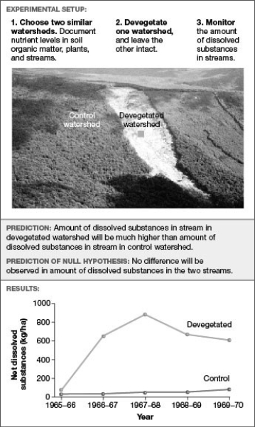   -Based on the experiment in the accompanying figure, which of the following are plausible reasons for the result? I. No nutrients evaporate now that vegetation is absent. II. Nutrients dissolve in the water running through the watershed. III. Nutrients are attached to small particles of sand or clay that leave the watershed. IV. Plant roots that held soil particles in place are no longer there. A)  only I and III B)  only II and IV C)  only I, II, and IV D)  only II, III, and IV E)  only I, II, and III 