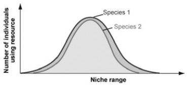   In the accompanying figure, which species is the stronger competitor? A)  species 1 B)  species 2 C)  Both species compete equally. D)  It is not possible to tell from this figure.