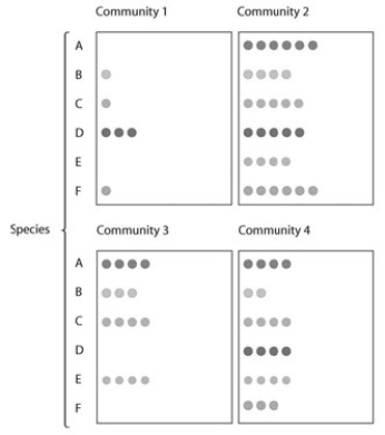   -In the figure shown, which community has the highest species diversity? A)  Community 1 B)  Community 2 C)  Community 1 and Community 3 have the highest species diversity. D)  Community 4