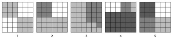 Refer to the accompanying art to answer the question below.   According to the Shannon Diversity Index, which of the five blocks shown, with each containing 36 squares, would show the greatest diversity? A)  1 B)  2 C)  3 D)  4 E)  5 