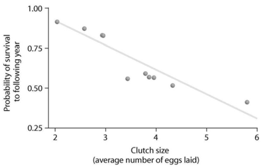   Looking at the data in the accompanying figure, what can be said about survival and clutch size? A)  Animals with low survival tend to have smaller clutch sizes. B)  Large clutch size correlates with low survival. C)  Animals with high survival tend to have larger clutch sizes. D)  Probability of survivorship does not correlate with clutch size.