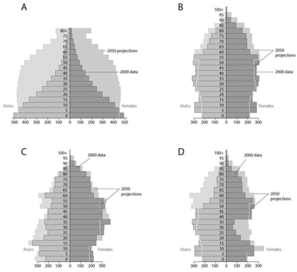   Based on the diagrams in the figure shown and on the large population of baby boomers in the United States, which graph best reflects U.S. population in 20 years? A)  A B)  B C)  C D)  D